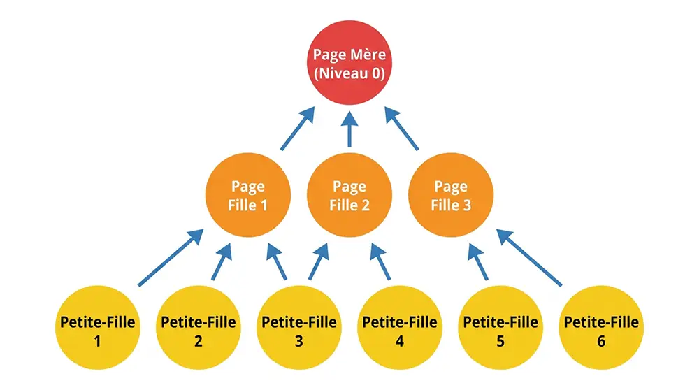 Schéma pyramidal des 3 niveaux du cocon sémantique : mère, filles, petites-filles